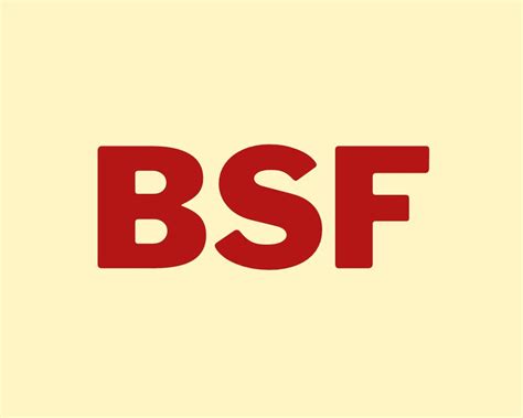 bsf slang